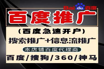 SEM搜索引擎优化案例：如何提升网站流量和转化率